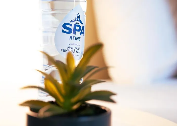 Lets Relax - Terre D'afrique ゲストハウス モンス